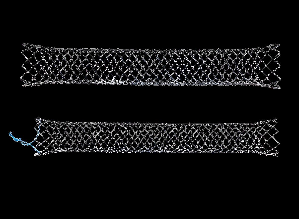 Stent Biliar
