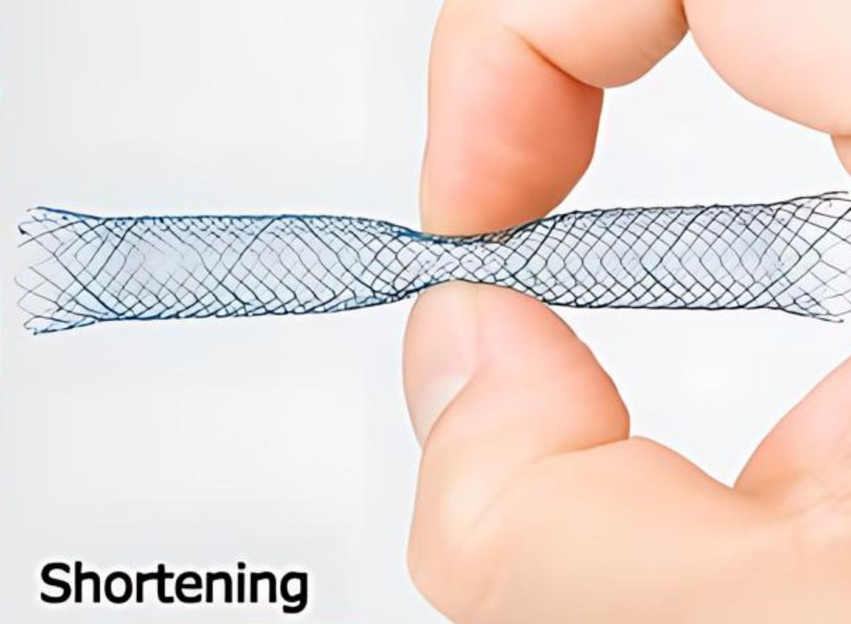 Stent Biliar BCT