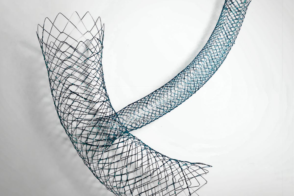 Stent M-Duodenal - BONASTENT