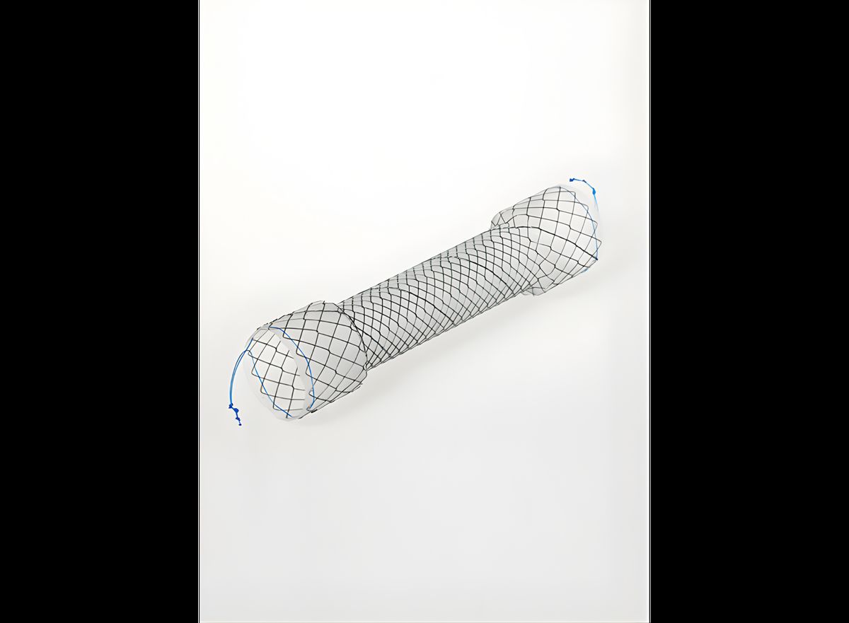 Stent Esofágico