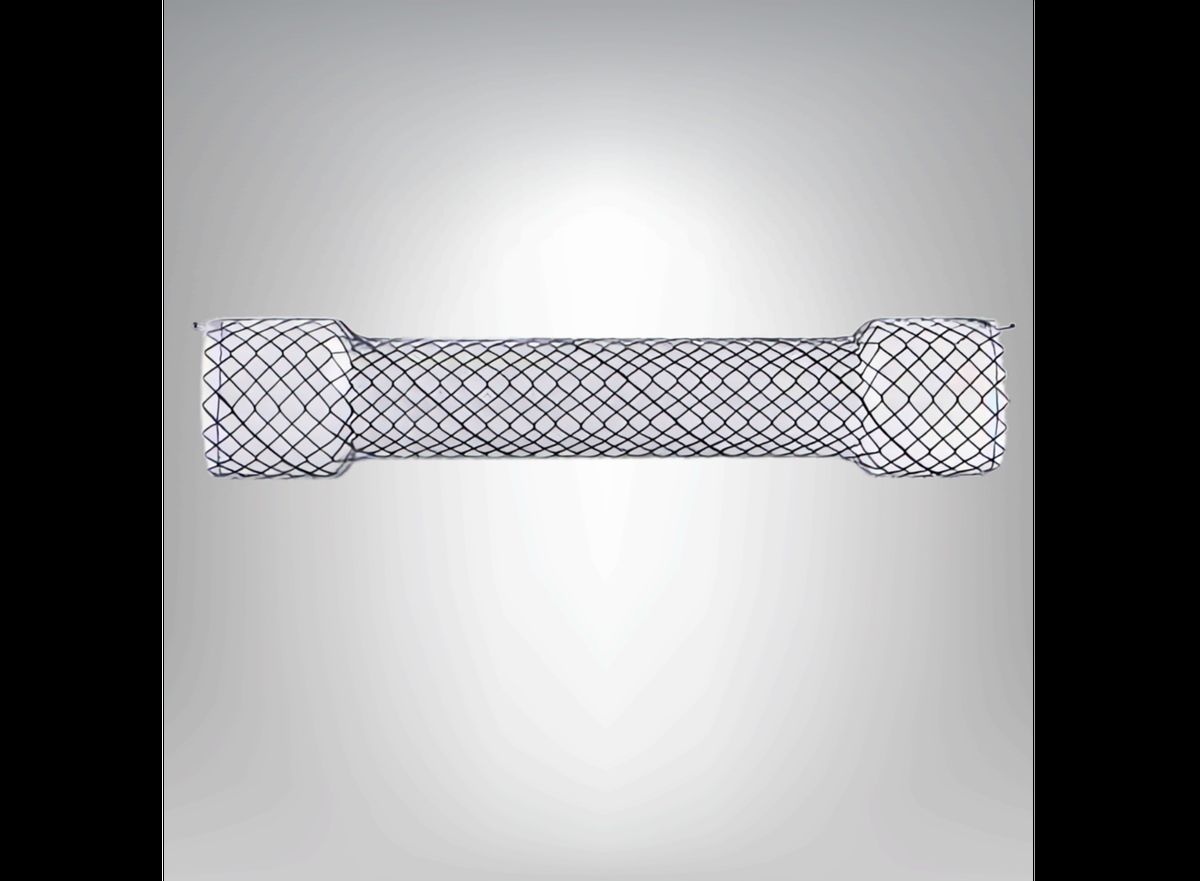 Stent Esofágico