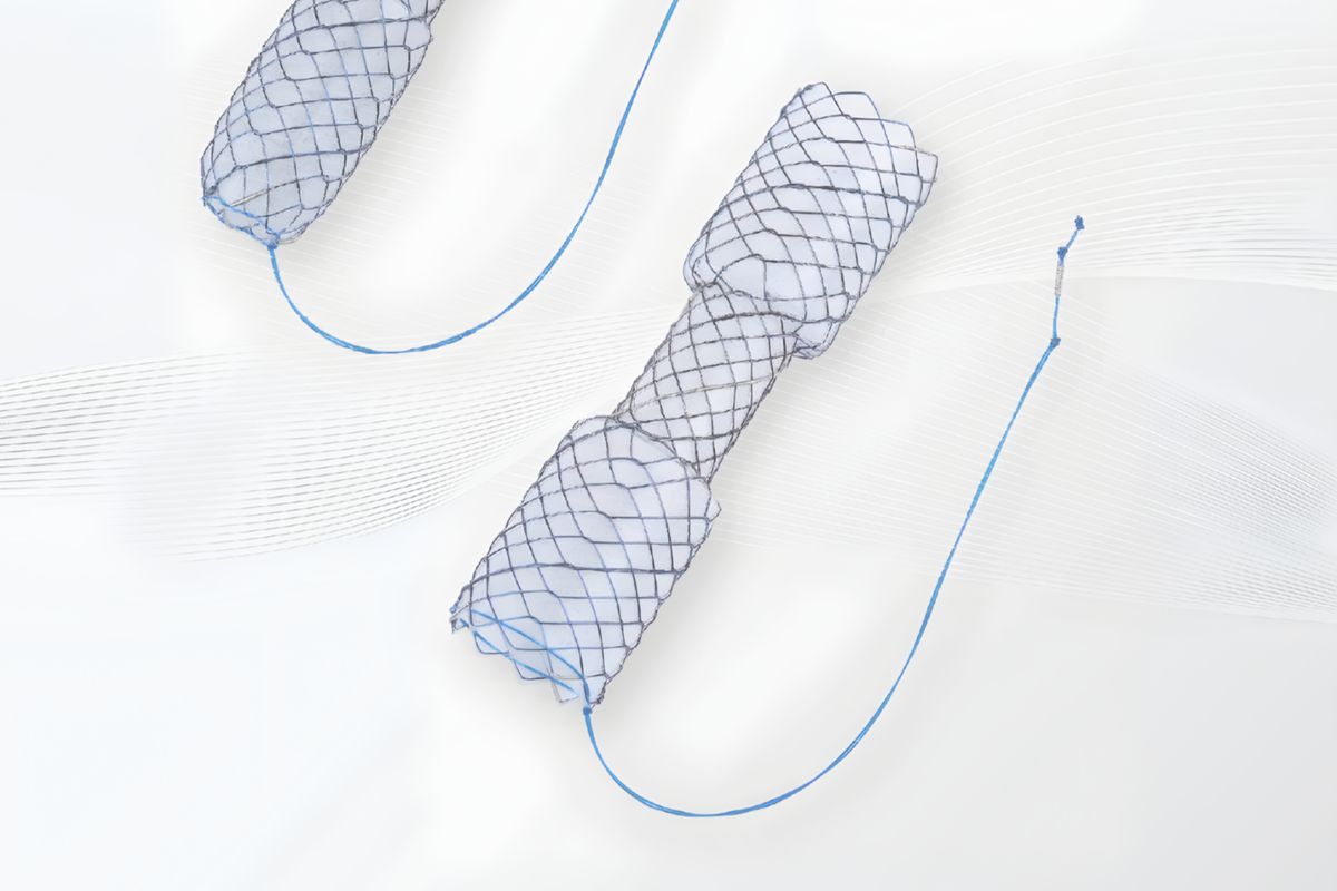 Stent Intraductal - BONASTENT