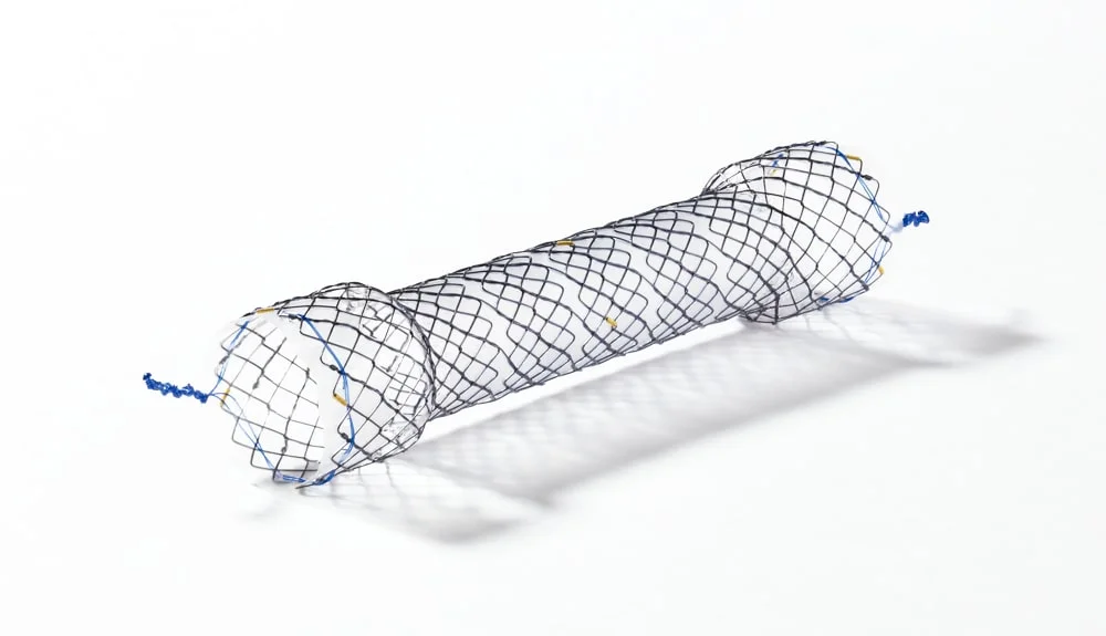 Stent Esofágico